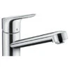 Hansgrohe Keukenkraan Focus M43 Met Hendel Chroom 100 -Badkamer Verkoop Winkel 123 3303