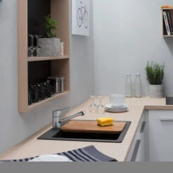 Hansgrohe Keukenkraan Focus M43 Met Hendel Chroom 100 -Badkamer Verkoop Winkel 123 3305