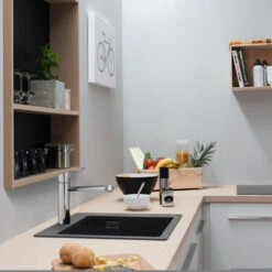 Hansgrohe Keukenkraan Focus M43 Met Hendel RVS 120 -Badkamer Verkoop Winkel 123 3392